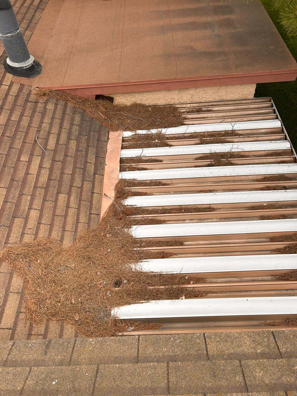 Riveras-Janitorial-Services-Gallery-19